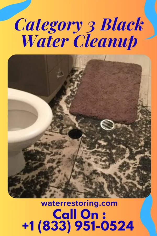 Category 3 Black Water Cleanup in Alpena, MI