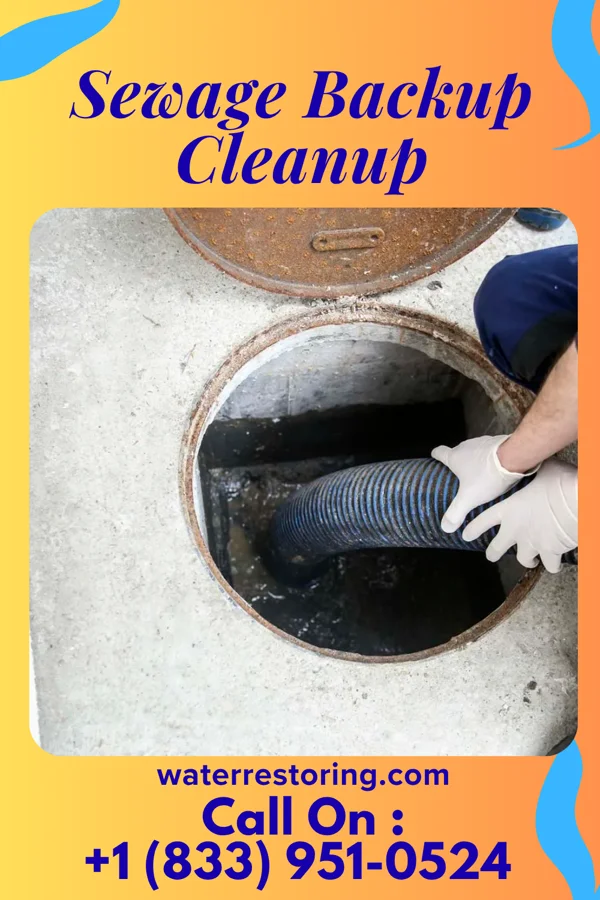 Sewage Backup Cleanup in Alpena, MI
