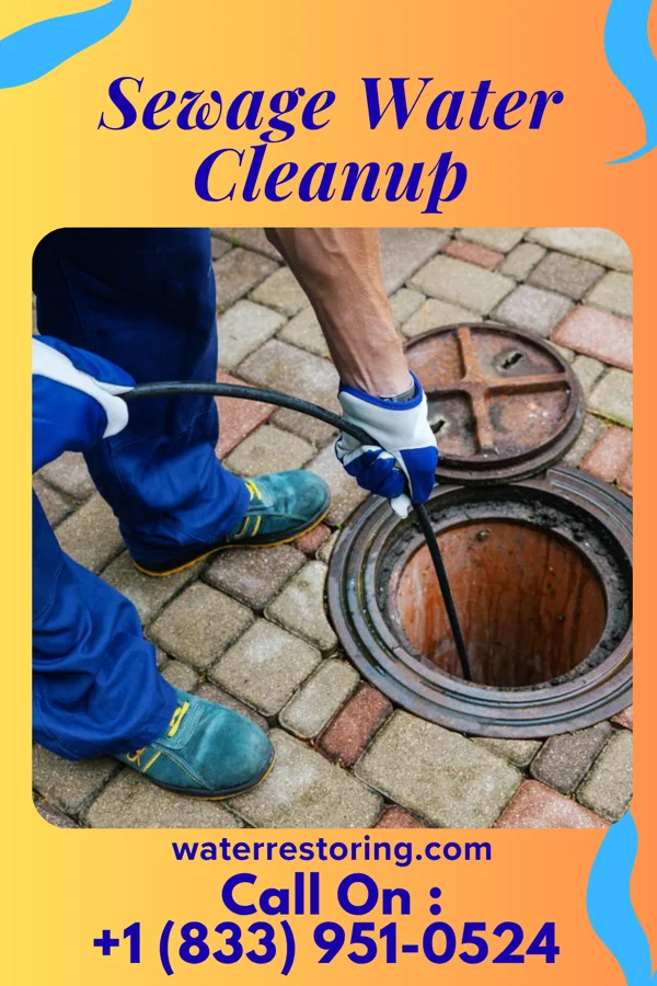 Sewage Water Cleanup in Alpena, MI